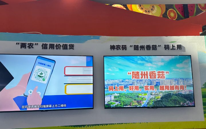 随州香菇